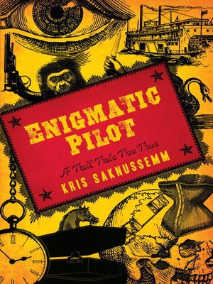 cover image of Enigmatic Pilot